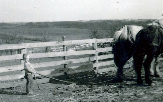 Ken as a child with a team of draft horse