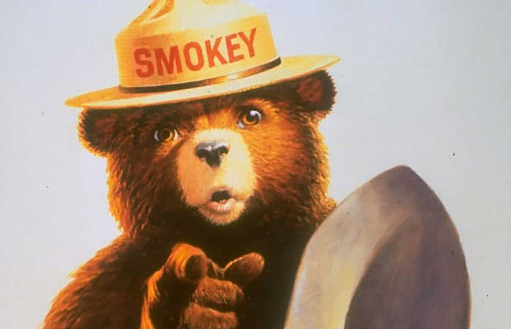 Smokey Bear warning ..dangers of wildfires