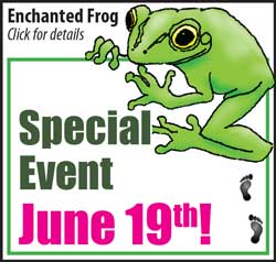 Enchanted Frog