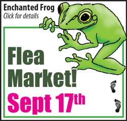 Sept 22 Enchanted Frog Flee Market
