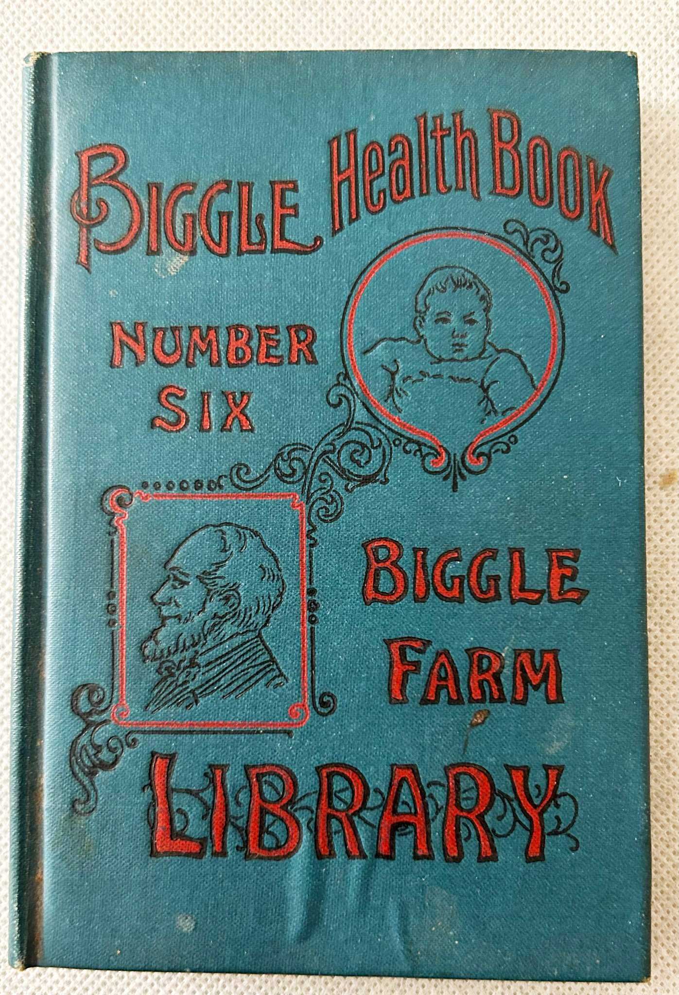Biggle Health Book
