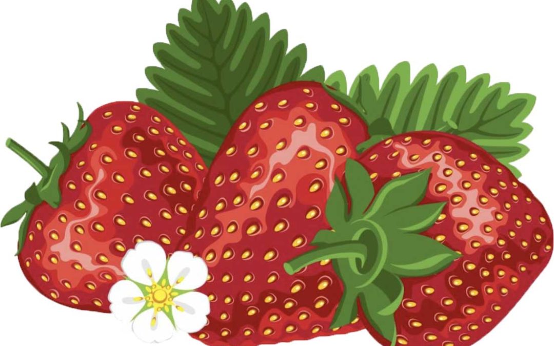 Get ready for a berry good time at the Vaile Mansion Strawberry Festival