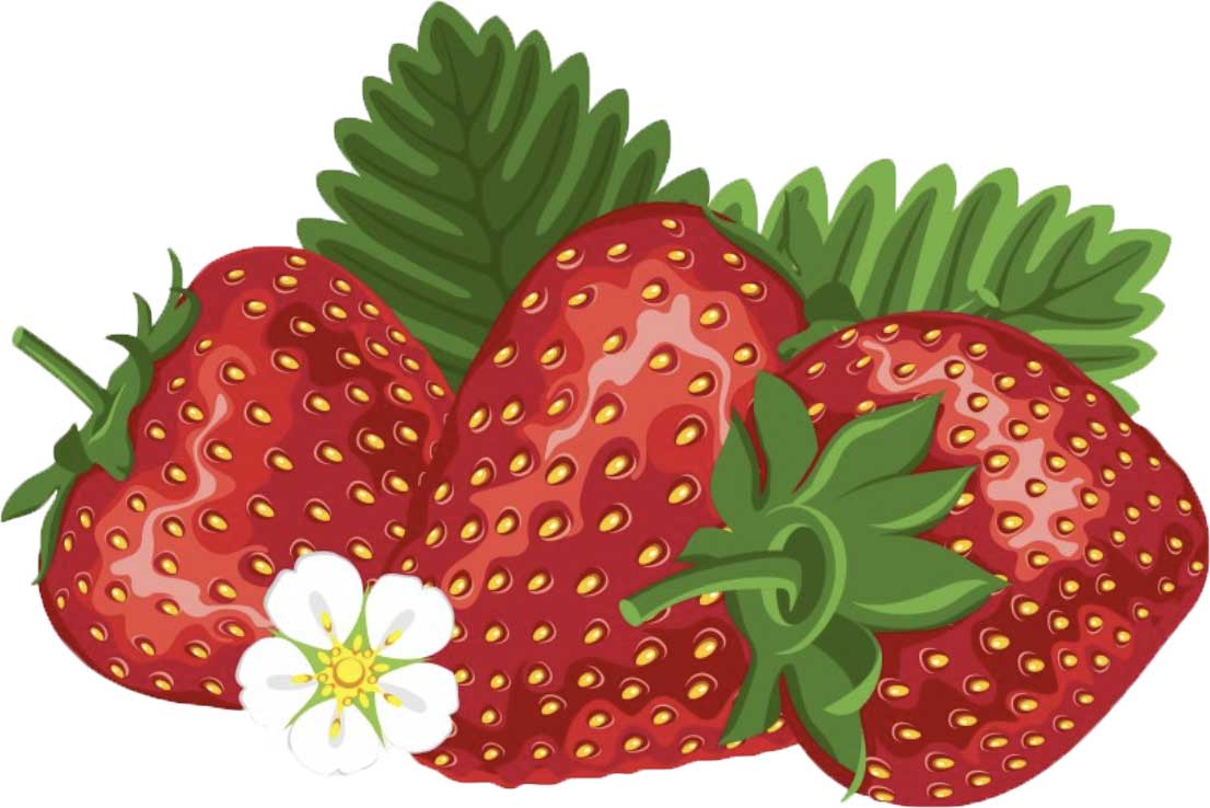 Get ready for a berry good time at the Vaile Mansion Strawberry Festival