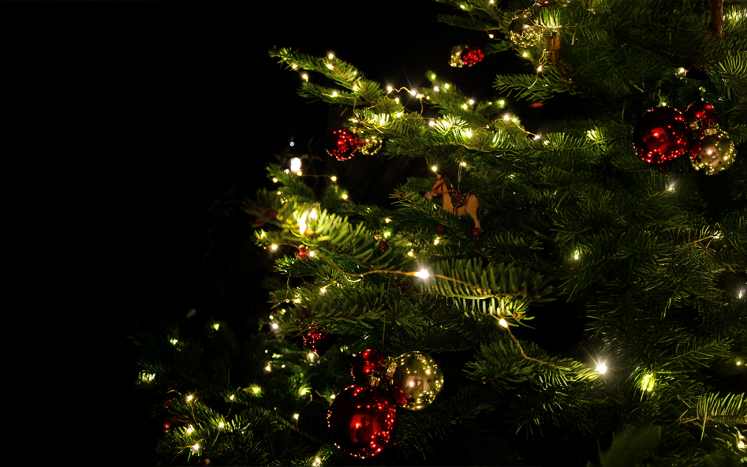 An illuminating experience