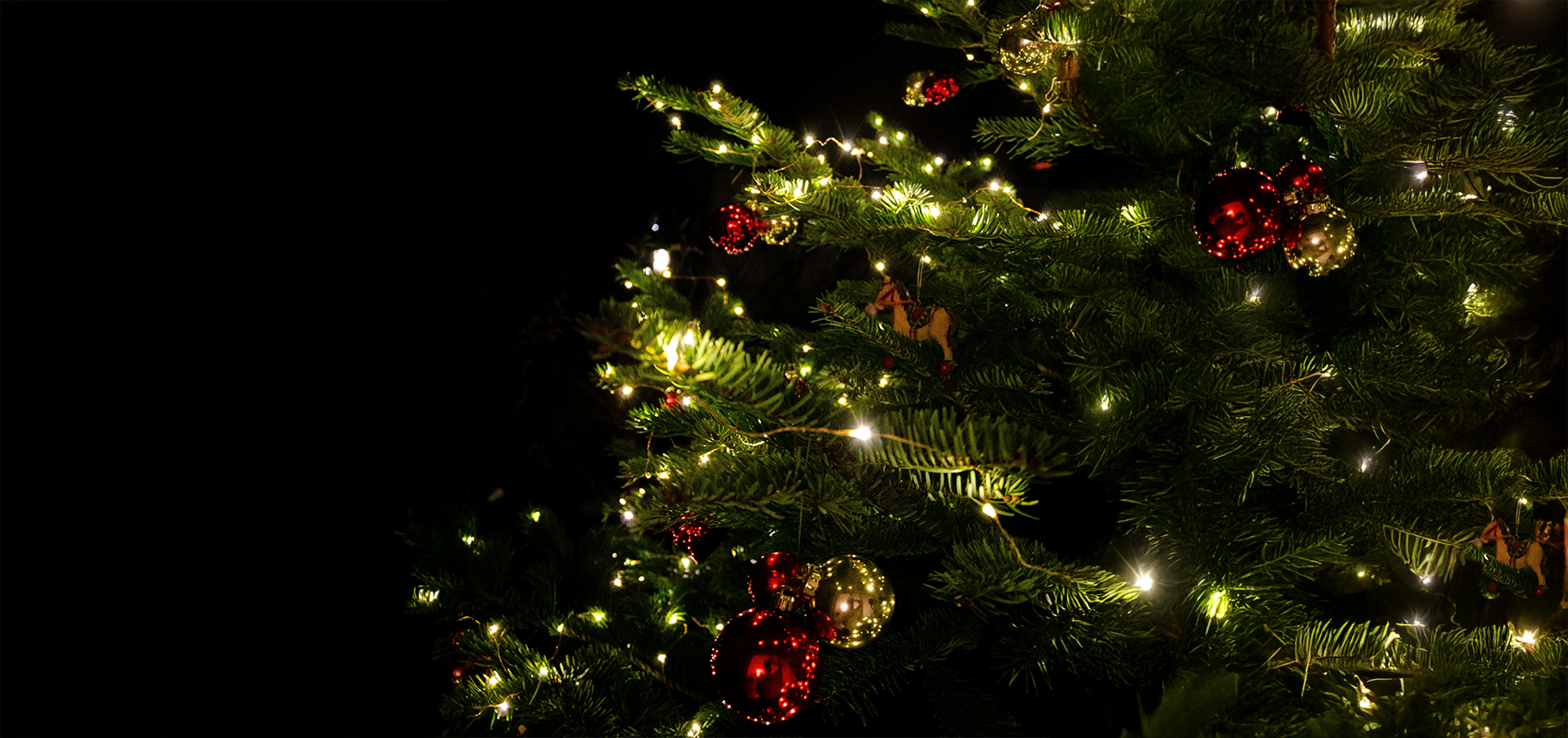 An illuminating experience