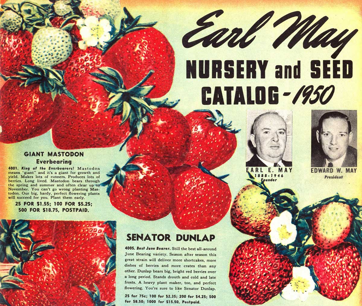 Learning the ABCs, graphite, and watercolour