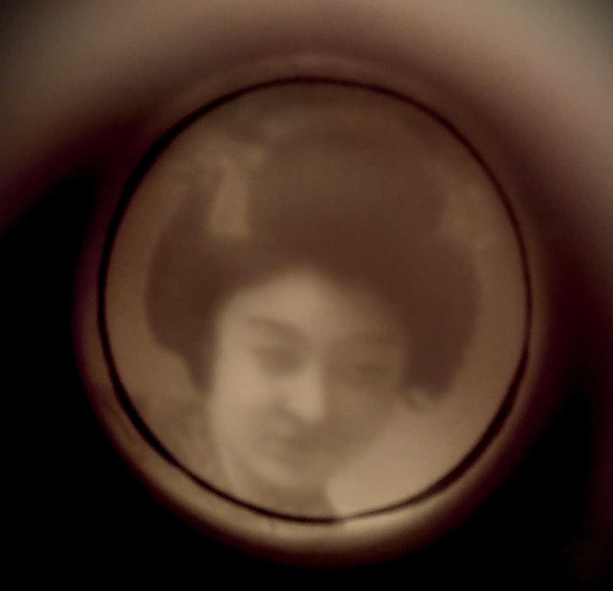 Coudersport Duck on Nest