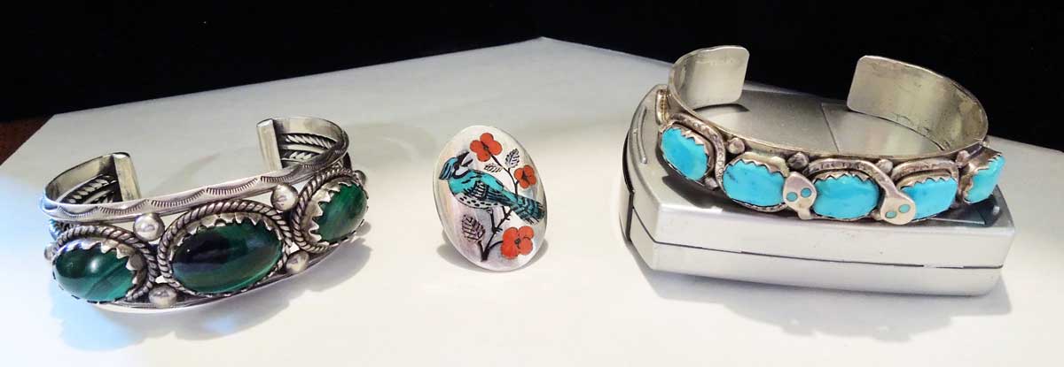 Coudersport Duck on Nest