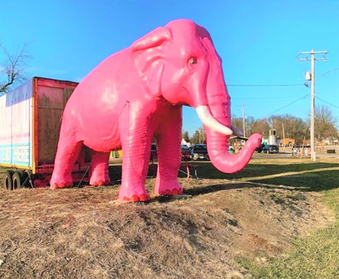 The Pink Elephant Antique Mall
